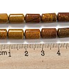 Natural Petrified Wood Beads Strands G-M420-E06-03-5