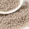 MIYUKI Round Rocailles Beads SEED-X0055-RR0215-1