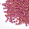 Opaque 6/0 Glass Seed Beads SEED-S023-01A-05-2