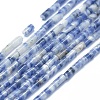 Natural Blue Spot Jasper Beads Strands G-F631-B11-1