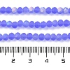 Transparent Glass Beads Strands EGLA-A034-T4mm-MB14-5