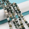 Natural Tree Agate Round Gemstone Beads Strands G-R255-6mm-1