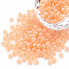 6/0 Imitation Jade Glass Seed Beads SEED-N004-006-24-1