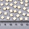 FGB 2-Hole Glass Seed Beads X-SEED-S031-L-ST1001F-2
