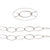 Tarnish Resistant 304 Stainless Steel Paperclip Chains STAS-A048-04P-2