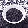 MIYUKI Delica Beads SEED-X0054-DB1004-2