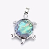 Abalone Shell/Paua ShellJewelry Sets SJEW-P089-02-2