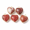 Natural Red Jasper Pendants G-C005-01G-18-1