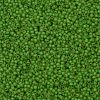 TOHO Round Seed Beads X-SEED-TR11-0306FM-2