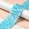 Natural Selenite Beads Strands G-P493-01D-2