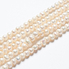 Natural Cultured Freshwater Pearl Beads Strands A23WT011-5