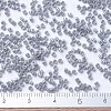 MIYUKI Delica Beads SEED-MY11-DB1570-4