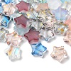 Transparent Smooth and Frosted Glass Beads GLAA-O023-19-1