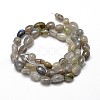 Natural Labradorite Nuggets Beads Strands X-G-J335-40-2