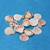 Natural Scallop Shell Beads BSHE-S108-1
