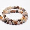 Natural Bamboo Leaf Agate Beads Strands G-F364-02-8mm-2