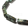 Natural African Turquoise(Jasper) Beads Strands G-F729-01-4