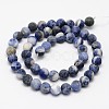 Natural Sodalite Beads Strands G-D691-6mm-2