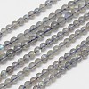 Natural Labradorite Round Bead Strands X-G-M263-A-03-1