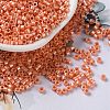 Baking Paint Glass Seed Beads X-SEED-S042-15A-03-1