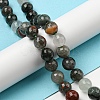 Natural Afican Bloodstone Beads Strands G-C079-B02-02-2