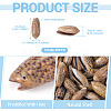 50Pcs Natural Spiral Shell Pendants SSHEL-CW0001-01-4