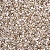 Glass Bugle Beads SEED-S032-09A-635-3