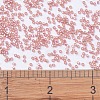 MIYUKI Delica Beads X-SEED-J020-DB0685-4