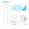 1 Strand Shell Pearl Beads Strands BSHE-HS0001-01-2
