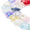 Transparent Glass Beads Strand GLAA-K057-01B-4