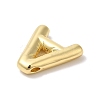 Eco-Friendly Rack Plating Brass Pendants X-KK-R143-21G-A-2