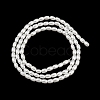 Electroplated Shell Pearl Beads Strands BSHE-H113-06B-06-2