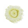Natural Solar Quartz Beads G-I267-A04-2