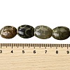 Tibetan Style dZi Beads Strands G-S389-A14-5