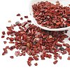 Natural Red Jasper Chips Beads G-O103-24-1