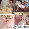 Polyester Organza Ribbons SRIB-WH20020-003A-03-5