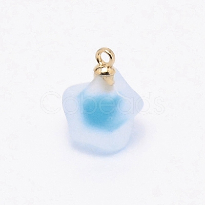 Resin Frosted Pendants MP-TAC0009-03I-1