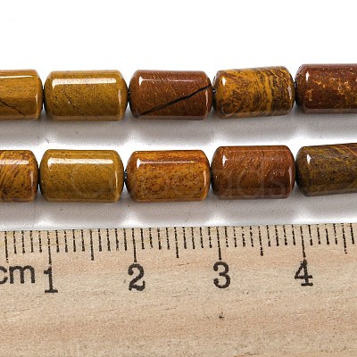 Natural Petrified Wood Beads Strands G-M420-E06-03-1