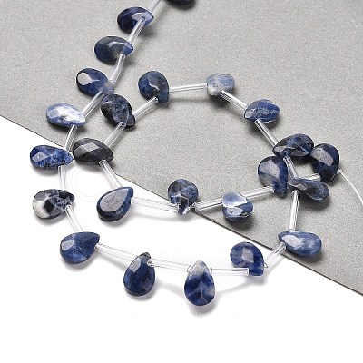 Natural Sodalite Beads Strands G-Q167-A08-01-1