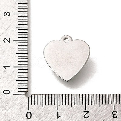 304 Stainless Steel Pendants STAS-Q346-06P-02-1