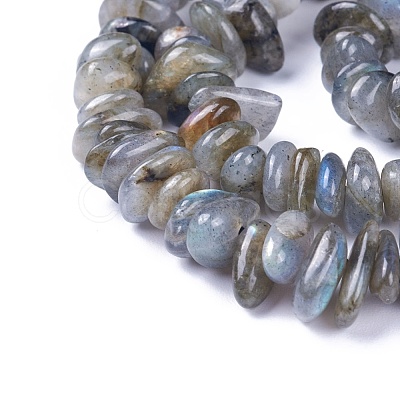 Natural Labradorite Beads Strands X-G-I225-15A-1