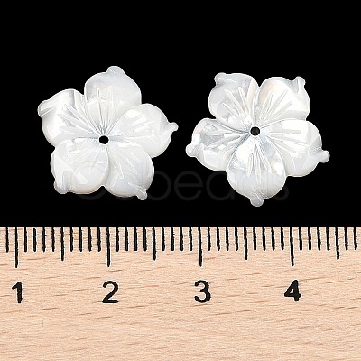 Natural White Shell Carved Beads SSHEL-I026-12E-06-1