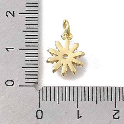 Brass Micro Pave Clear Cubic Zirconia Charms KK-D431-064G-1