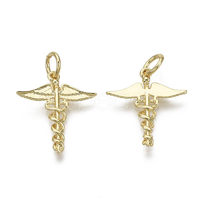 Brass Pendants KK-R133-053G-NF-1