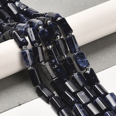 Natural Sodalite Beads Strands G-N327-06-28-1