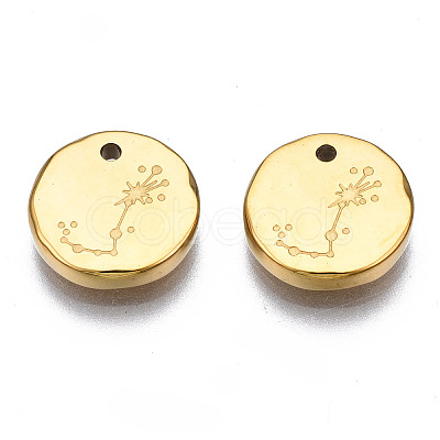 316 Surgical Stainless Steel Charms LS-STAS-S116-418J-G-1
