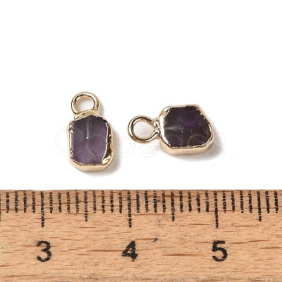 Natural Amethyst Rectangle Charms G-Q169-07G-09-1