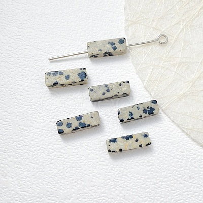 Natural Dalmatian Jasper Beads LS-G-G137-01N-1