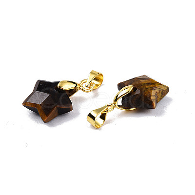 Natural Tiger Eye Charms X-G-N326-142-01-1