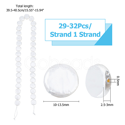 1 Strand Shell Pearl Beads Strands BSHE-HS0001-01-1